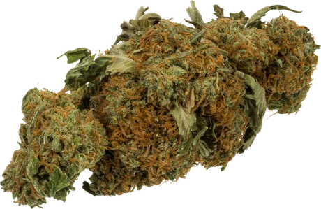 Fleur de CBD